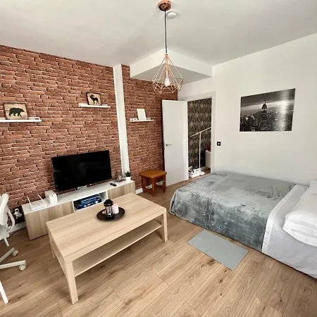 Apartamento En Concepcion Esquina Calle Toril 1a Appartement